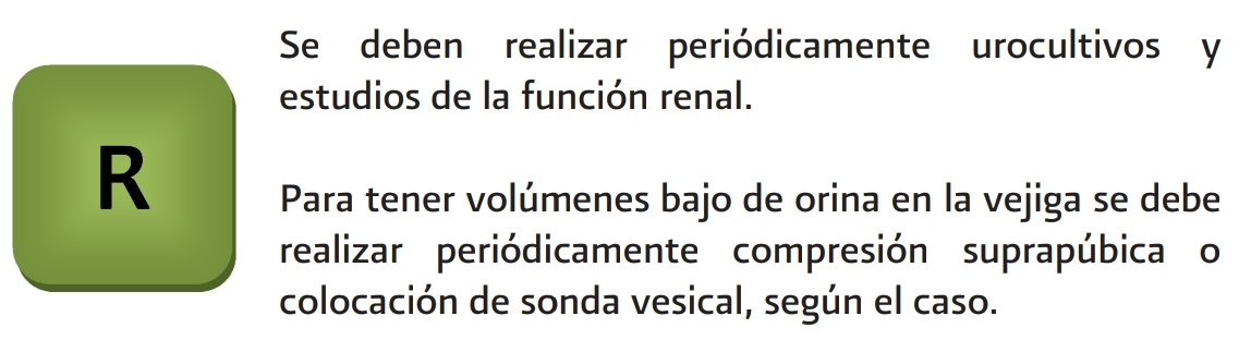 6. Tratamiento y rehabilitación 2 - GPC-IMSS-269